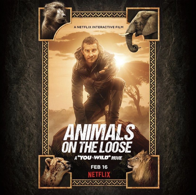 Animals on the Loose: A You vs. Wild Movie - Cover