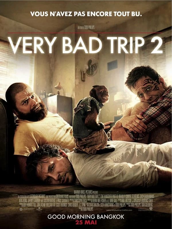 Very Bad Trip 2 - Cover