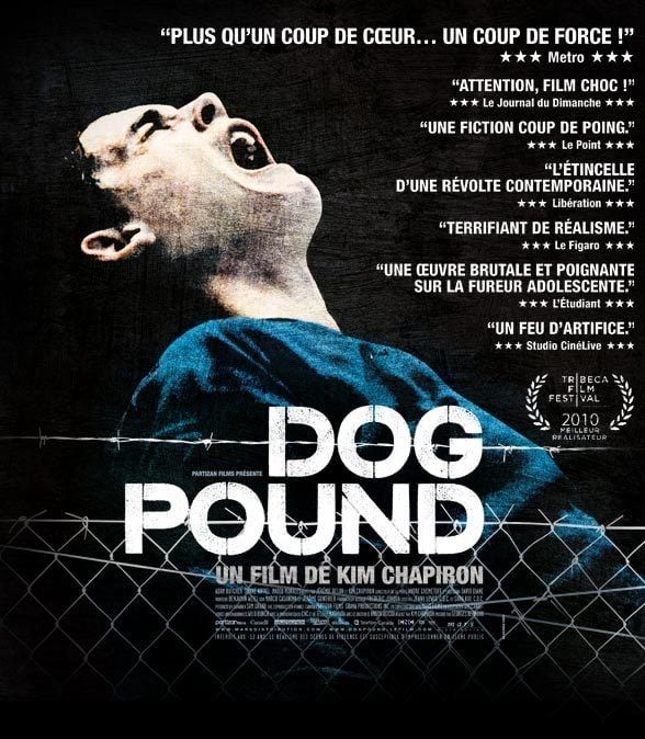 Dog Pound - Cover