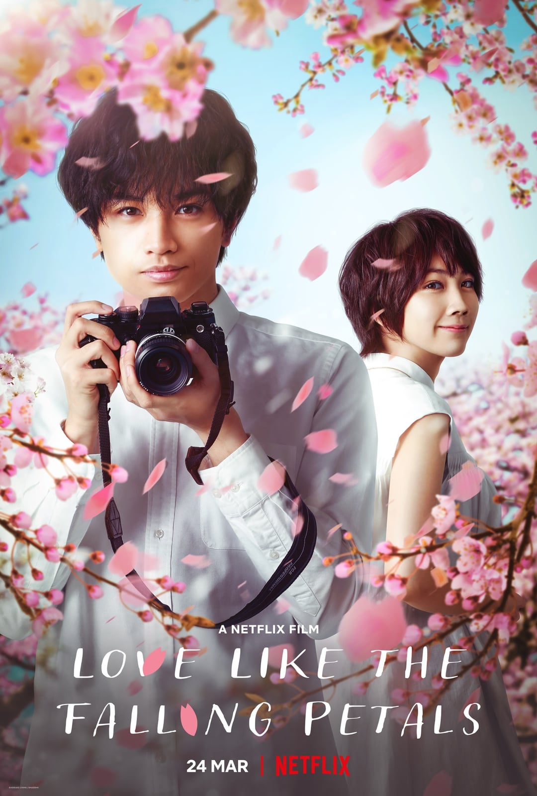 Love Like the Falling Petals - Cover