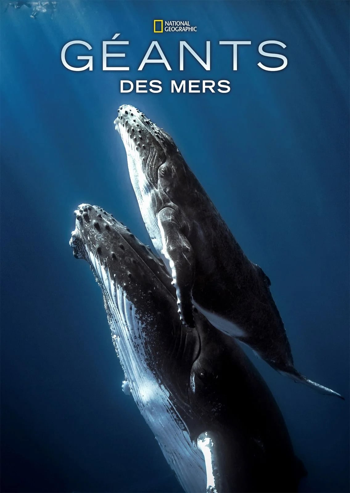 Géants des mers - Cover