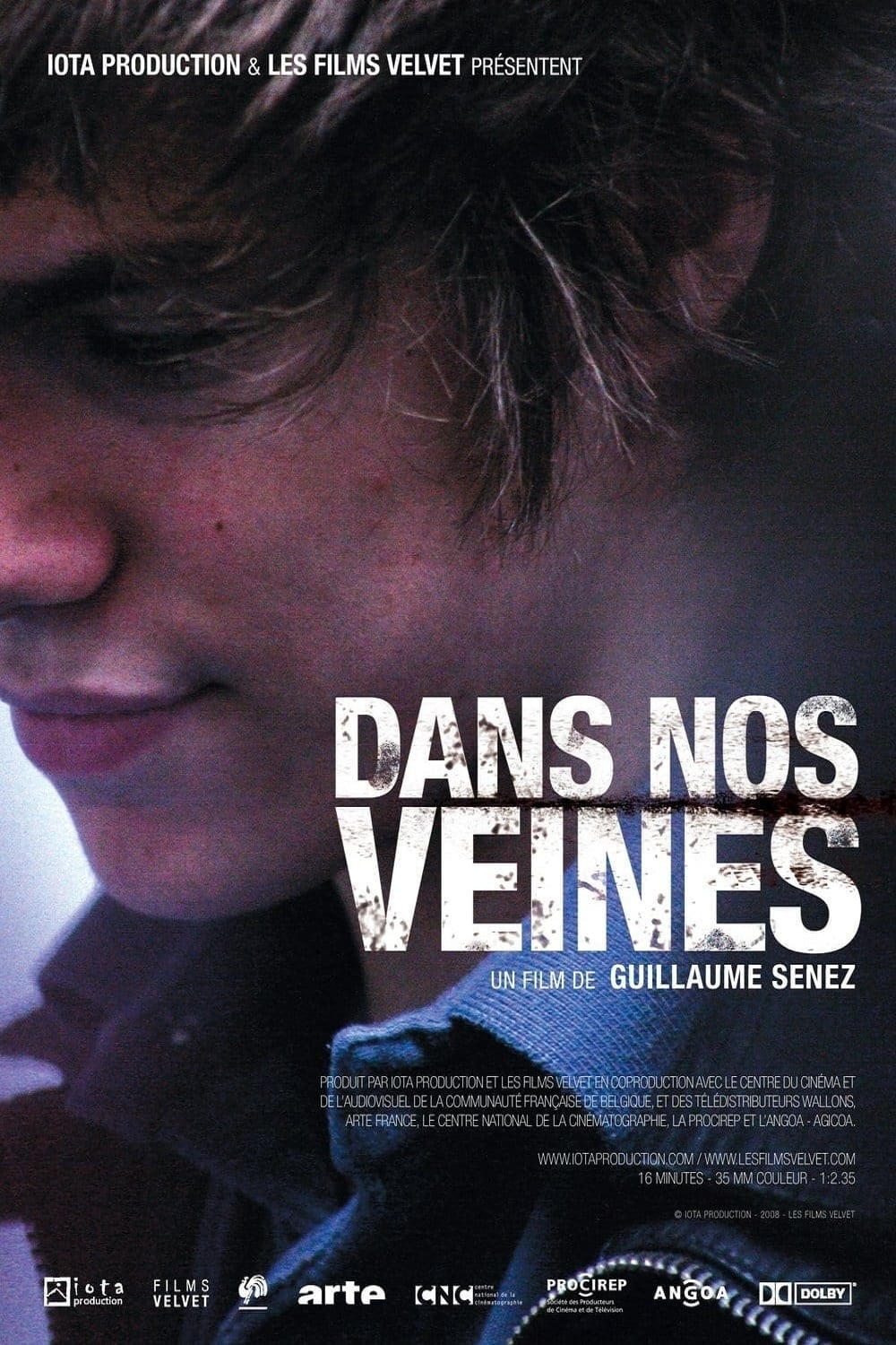 Dans nos veines - Cover