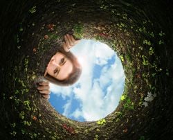 Alice (2009) - Cover