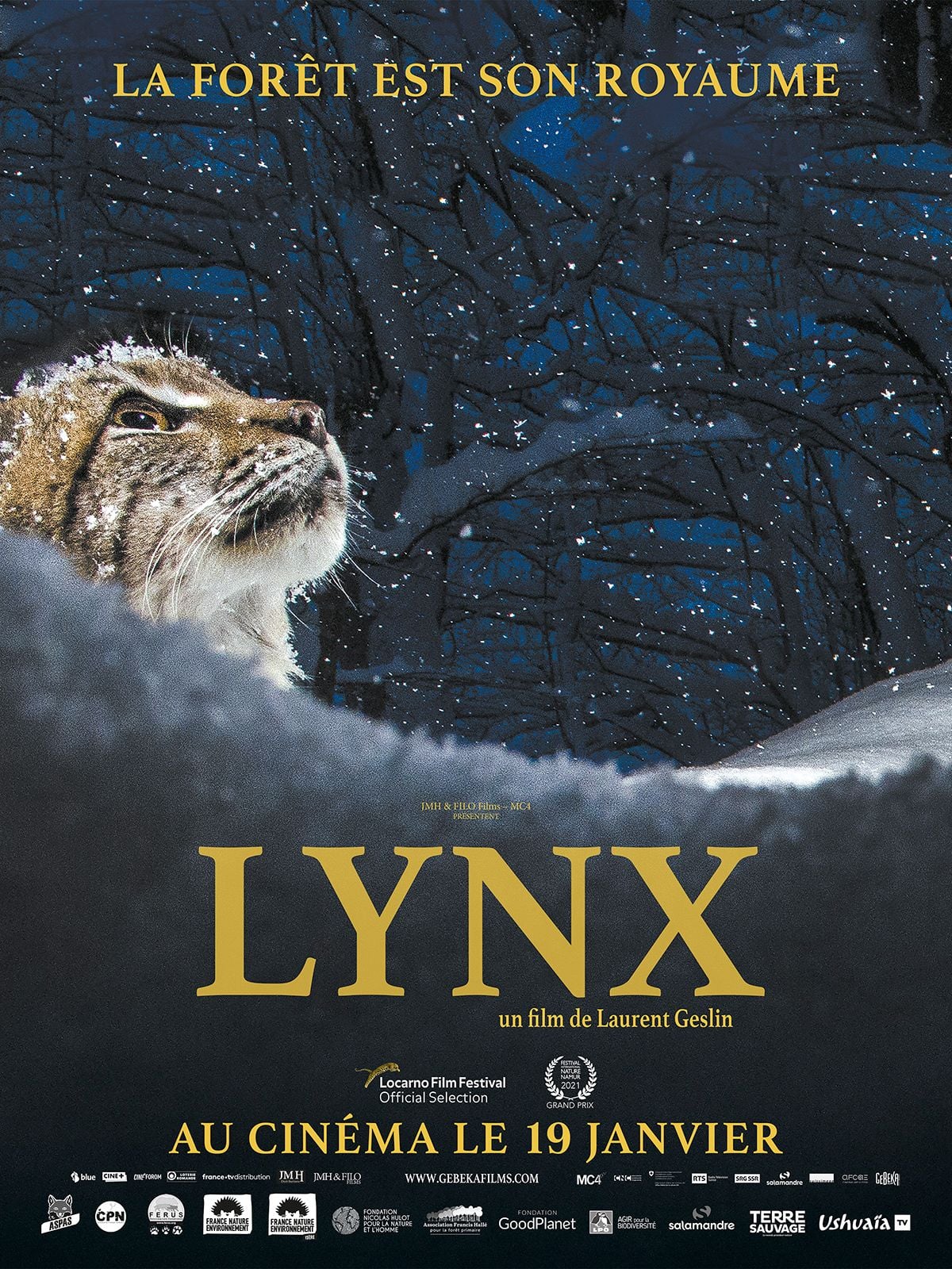 Lynx - Cover