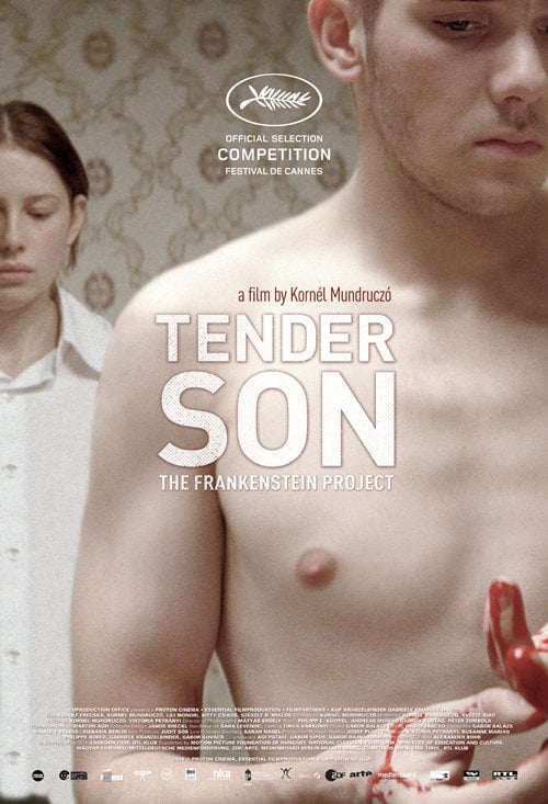 Tender Son: The Frankenstein Project - Cover