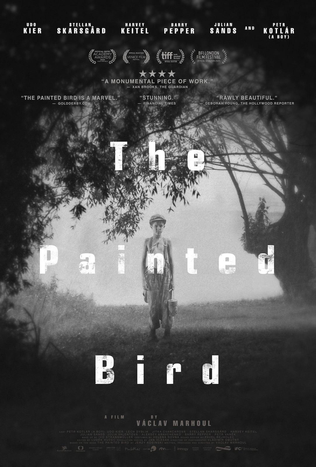 The Painted Bird - Cover