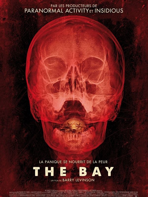 The Bay - Cover