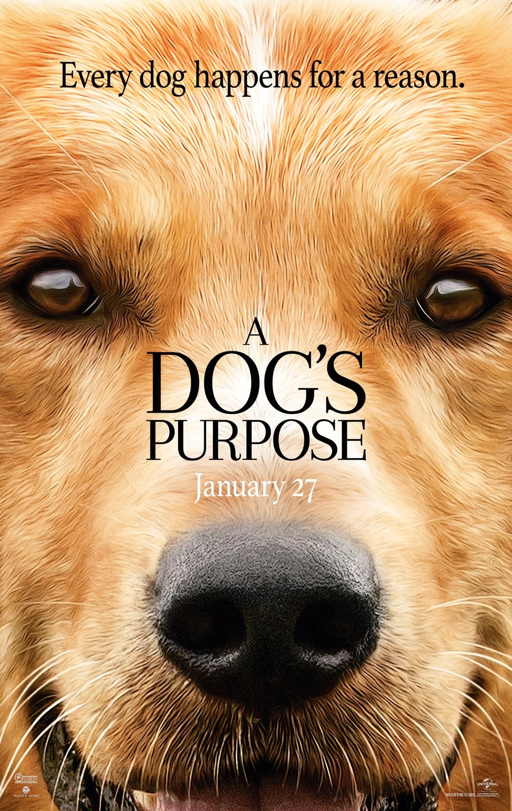 A Dog's Purpose - Cover