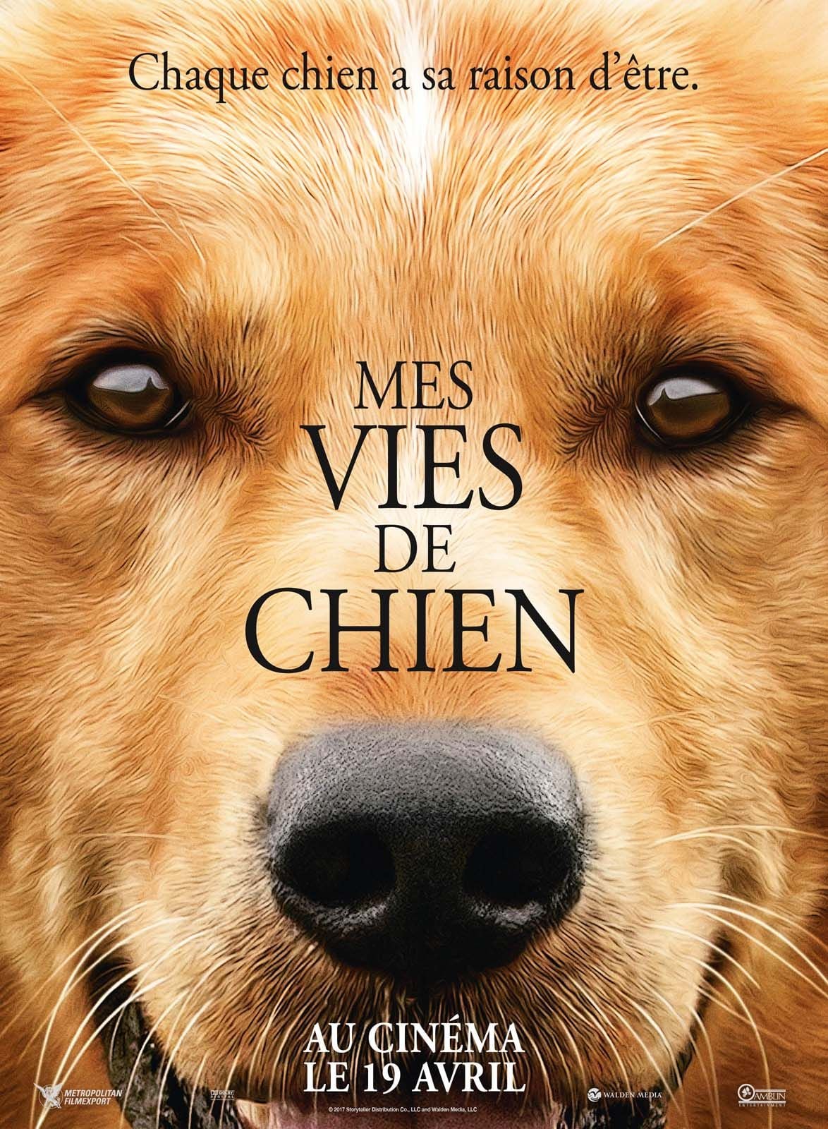 Mes vies de chien - Cover