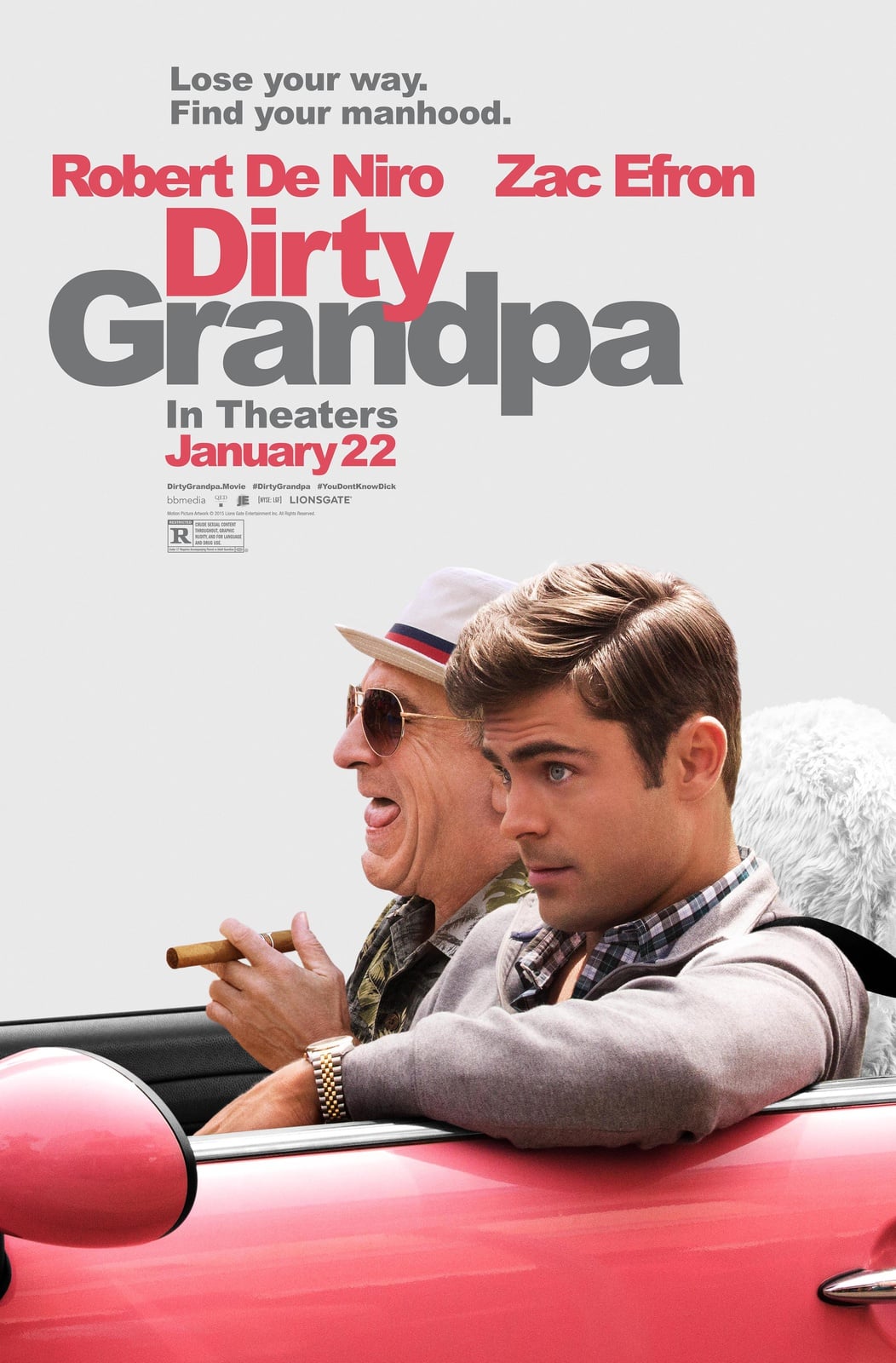 Dirty Grandpa - Cover