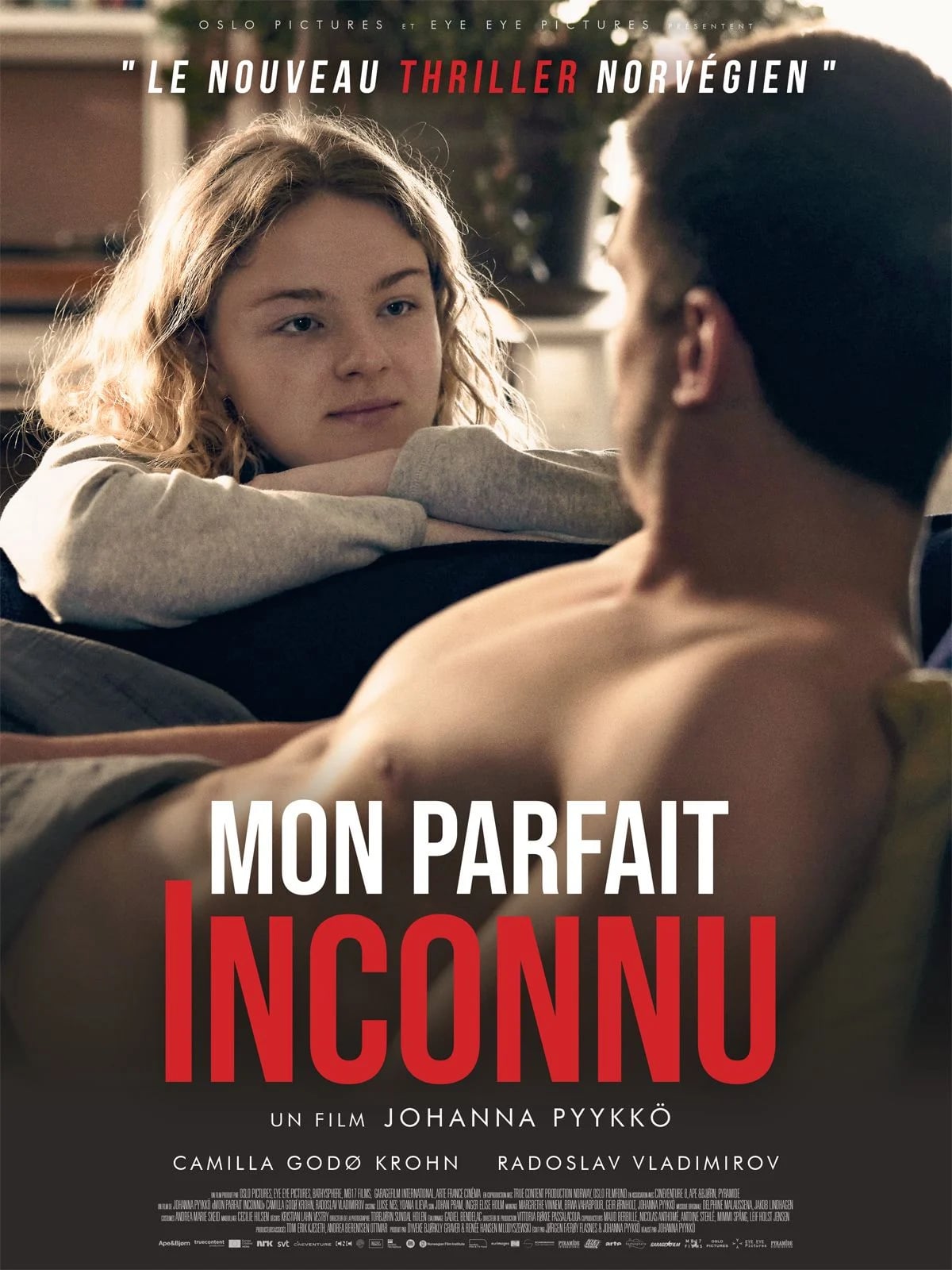 Mon parfait inconnu - Cover