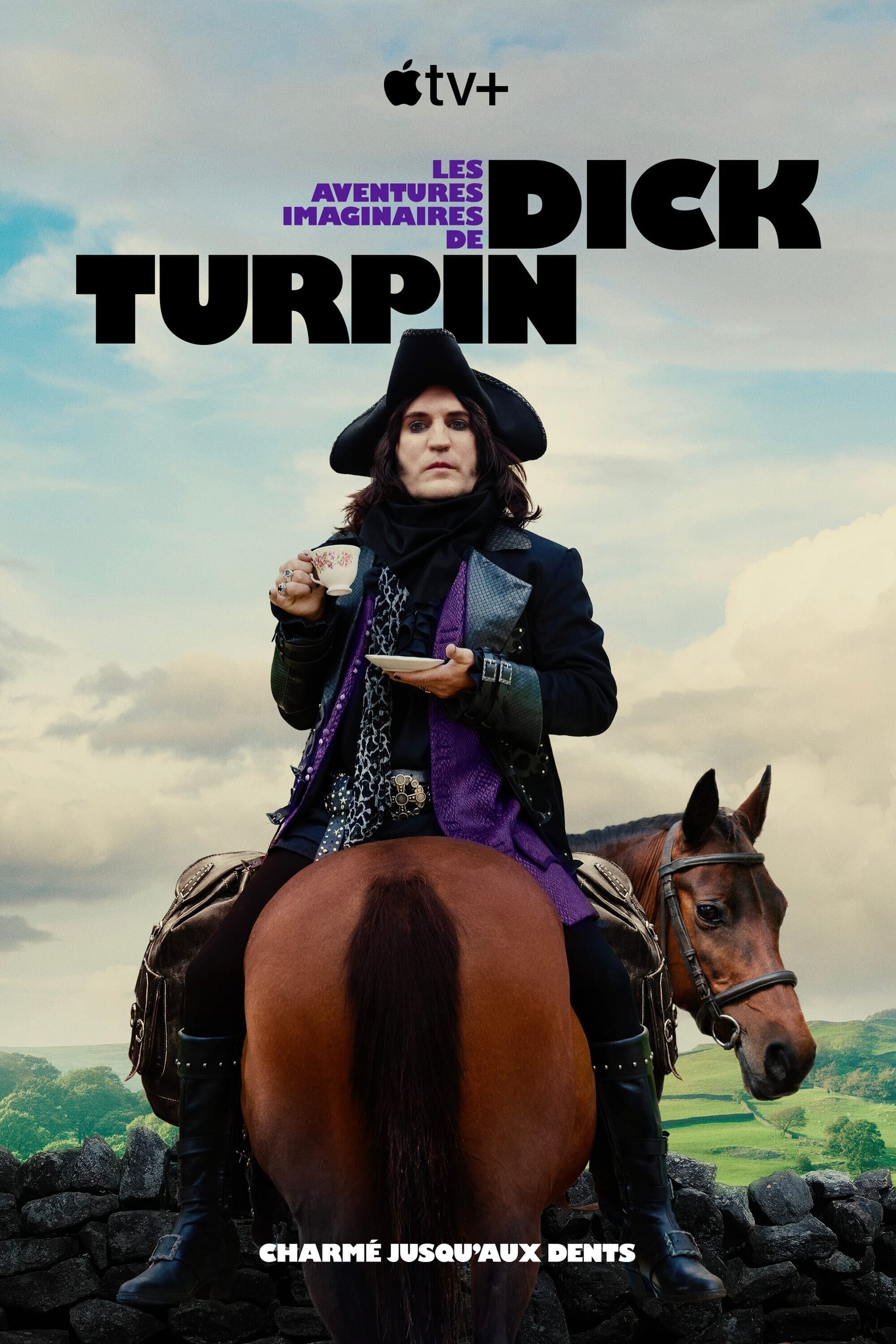 The Completely Made-Up Adventures of Dick Turpin - Cover