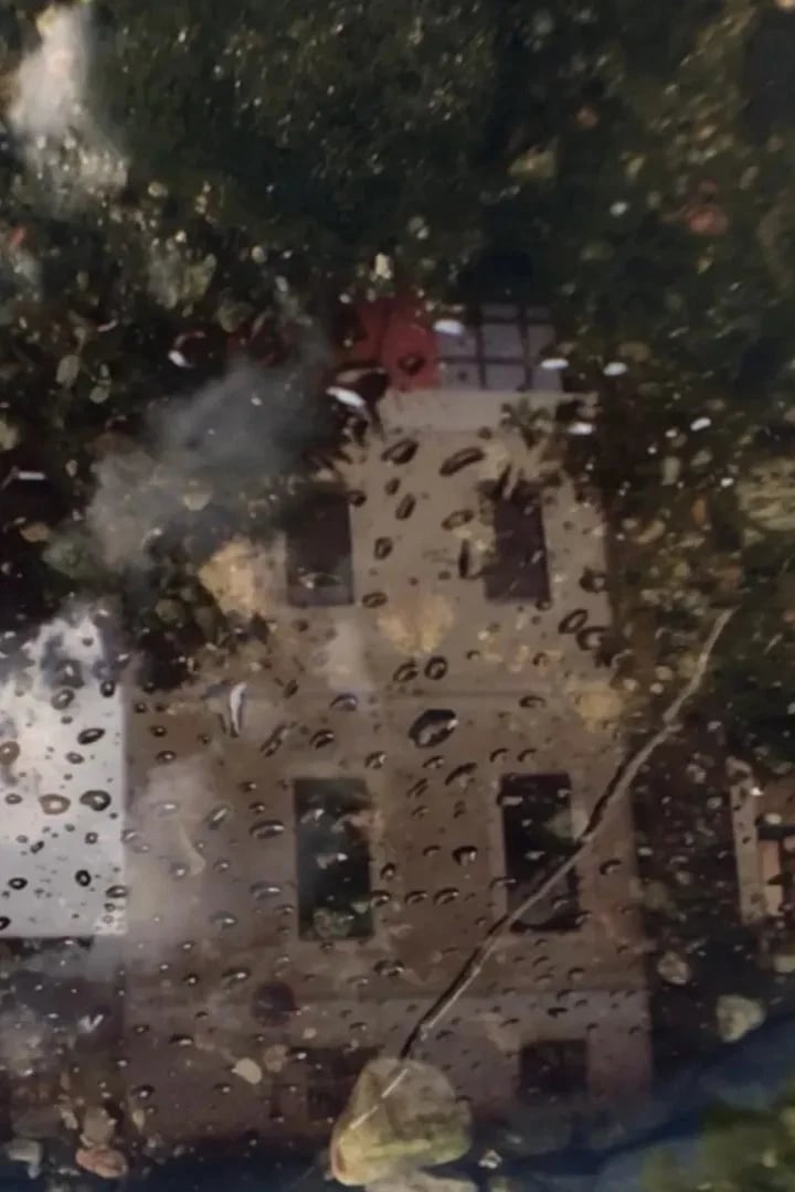 Insurrection - Cover