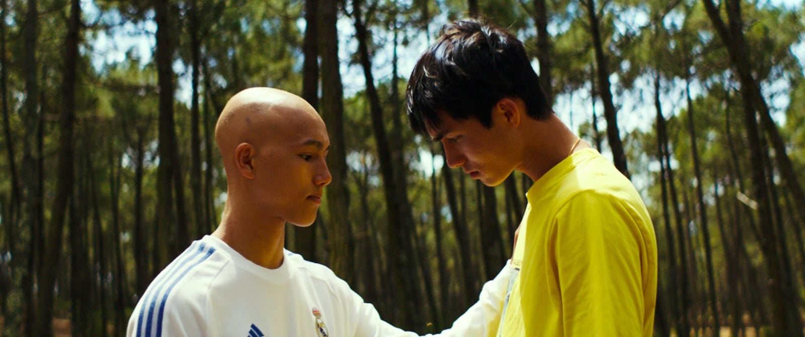 Summer Scars - Cover