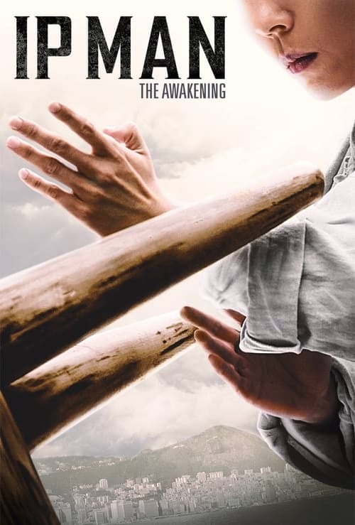 Ip Man: The Awakening - Cover