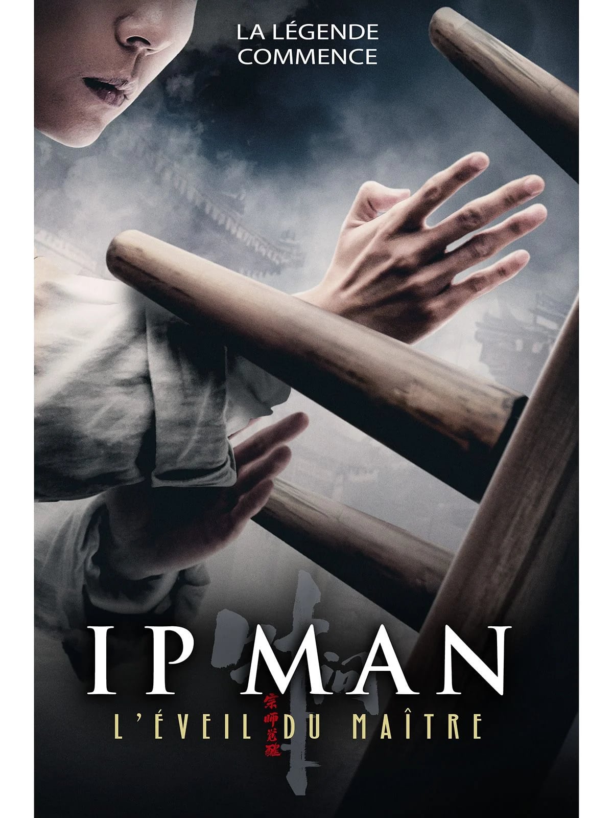 Ip Man : L'Éveil du Maître - Cover