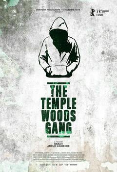 The Temple Woods Gang - Cover