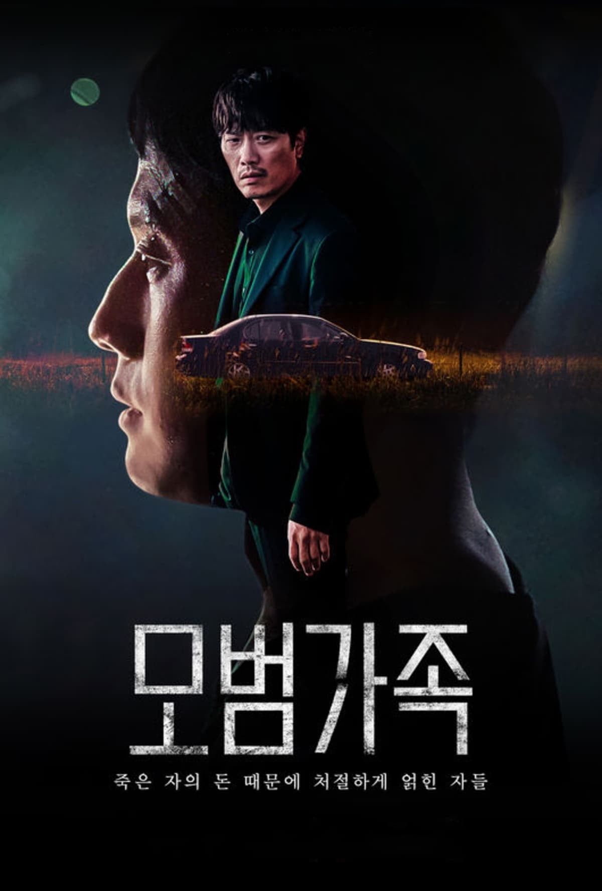 A Model Family - Cover