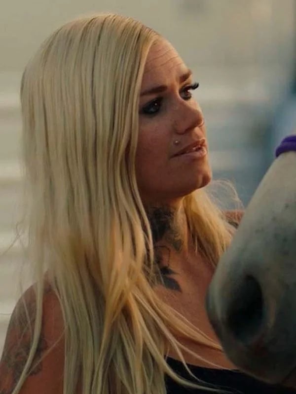 The New West - Cover