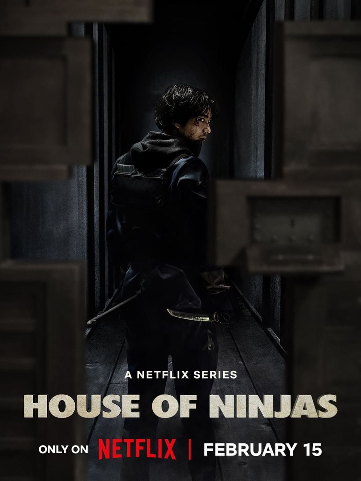 House of Ninjas - Cover