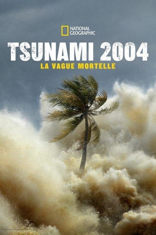 Tsunami 2004 , la vague mortelle - Cover