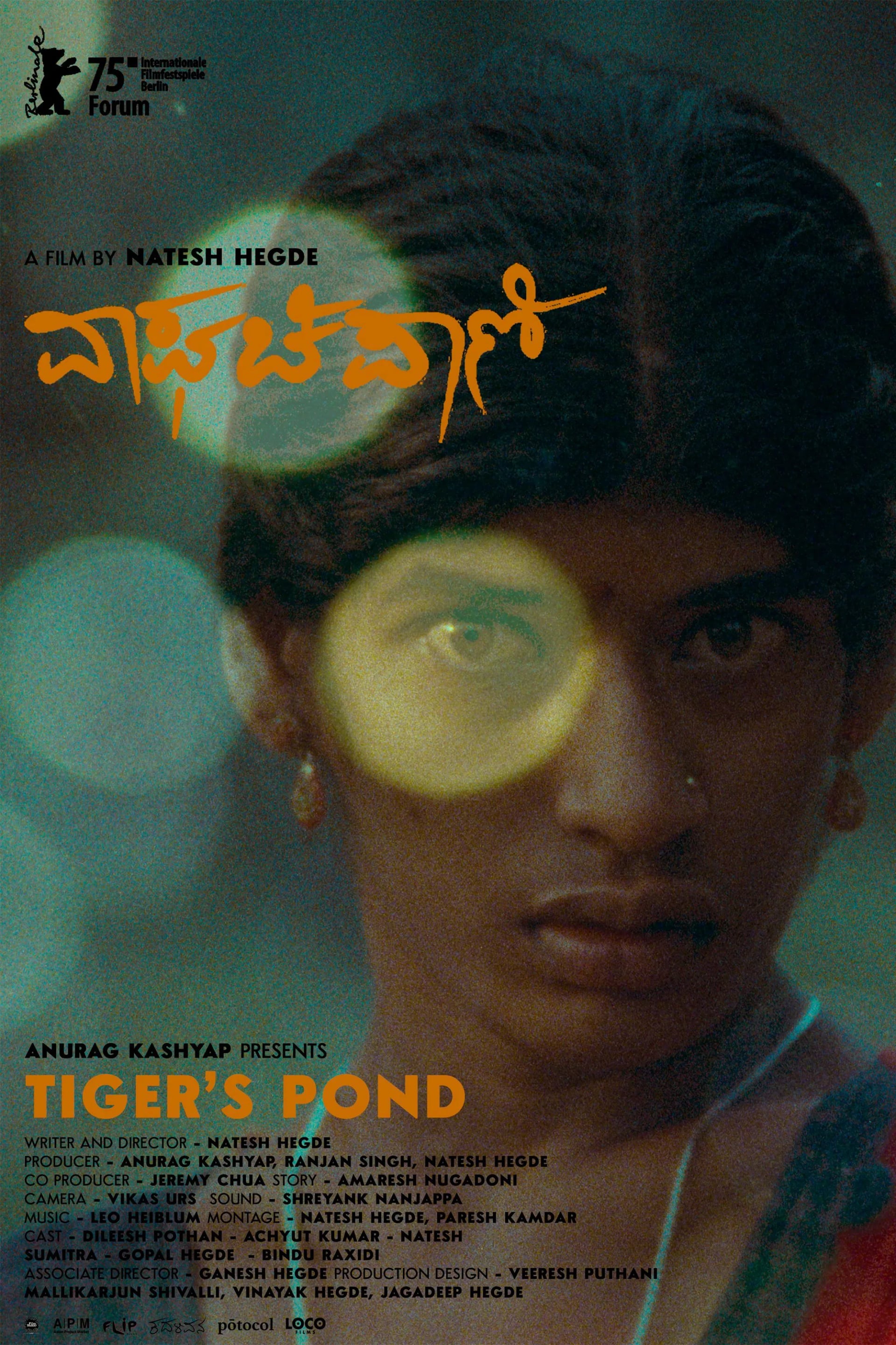 Tiger's Pond - Cover