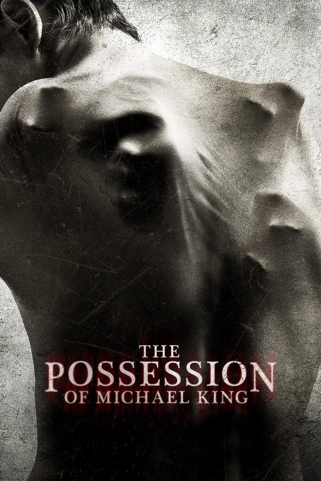 The Possession Of Michael King - Cover