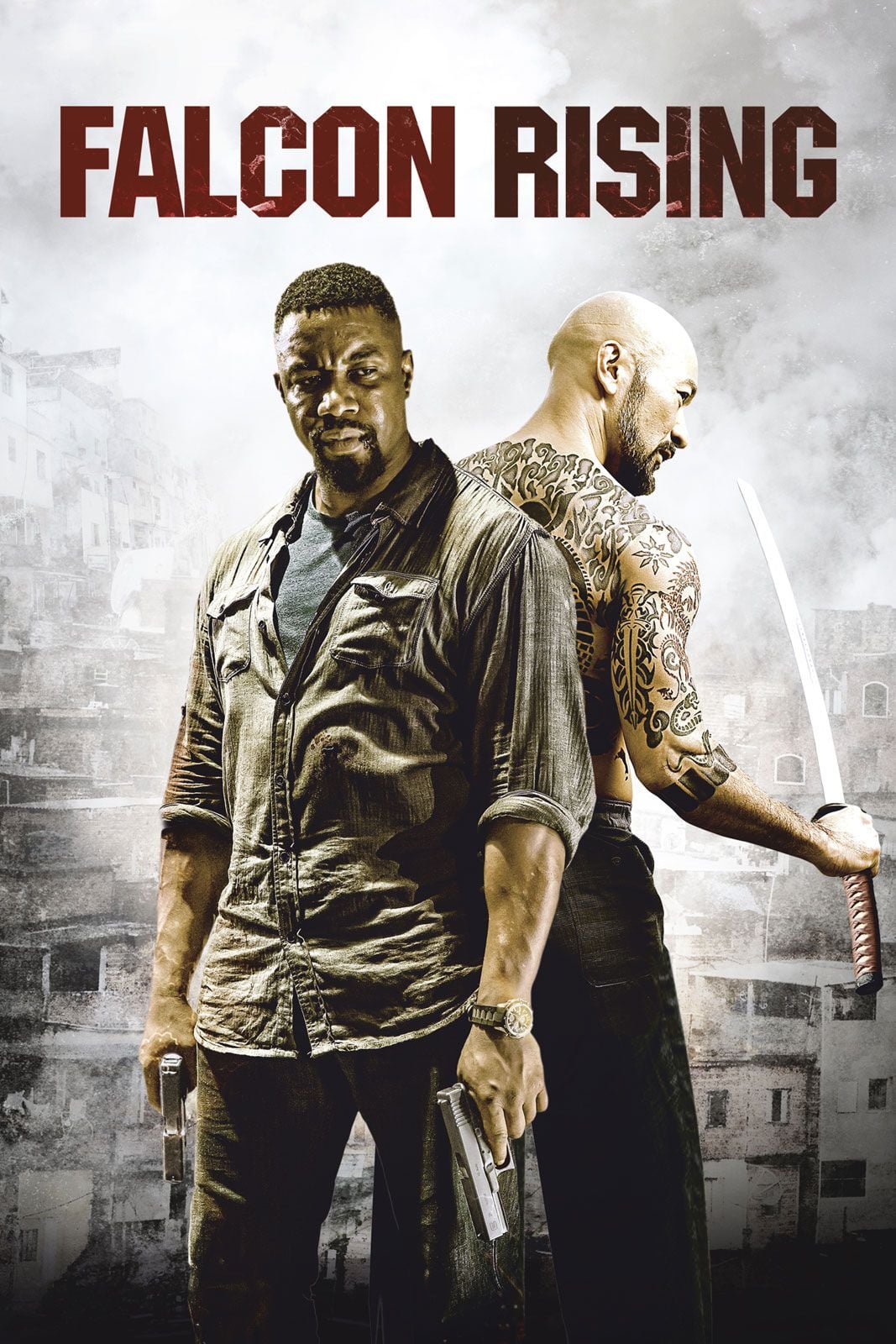 Falcon Rising - Cover