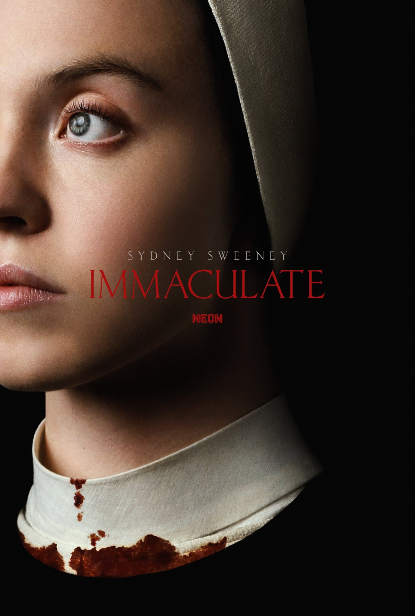 Immaculate - Cover