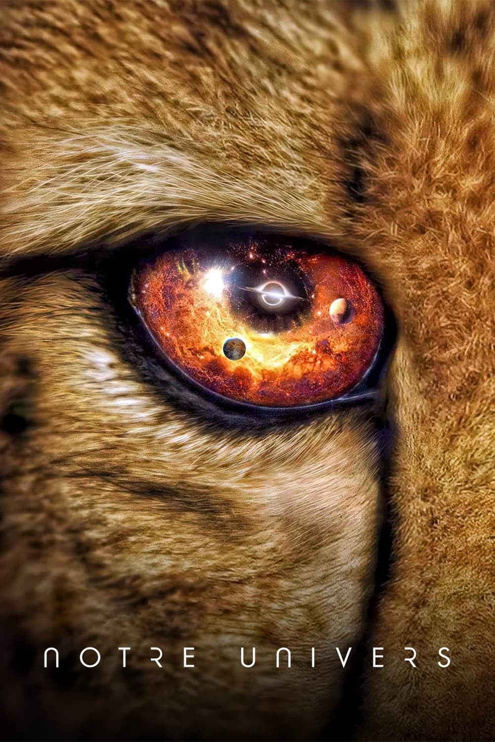 Notre univers - Cover