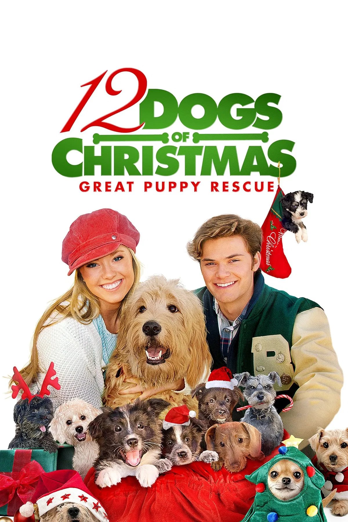 12 Dogs of Christmas: Great Puppy Rescue - Cover