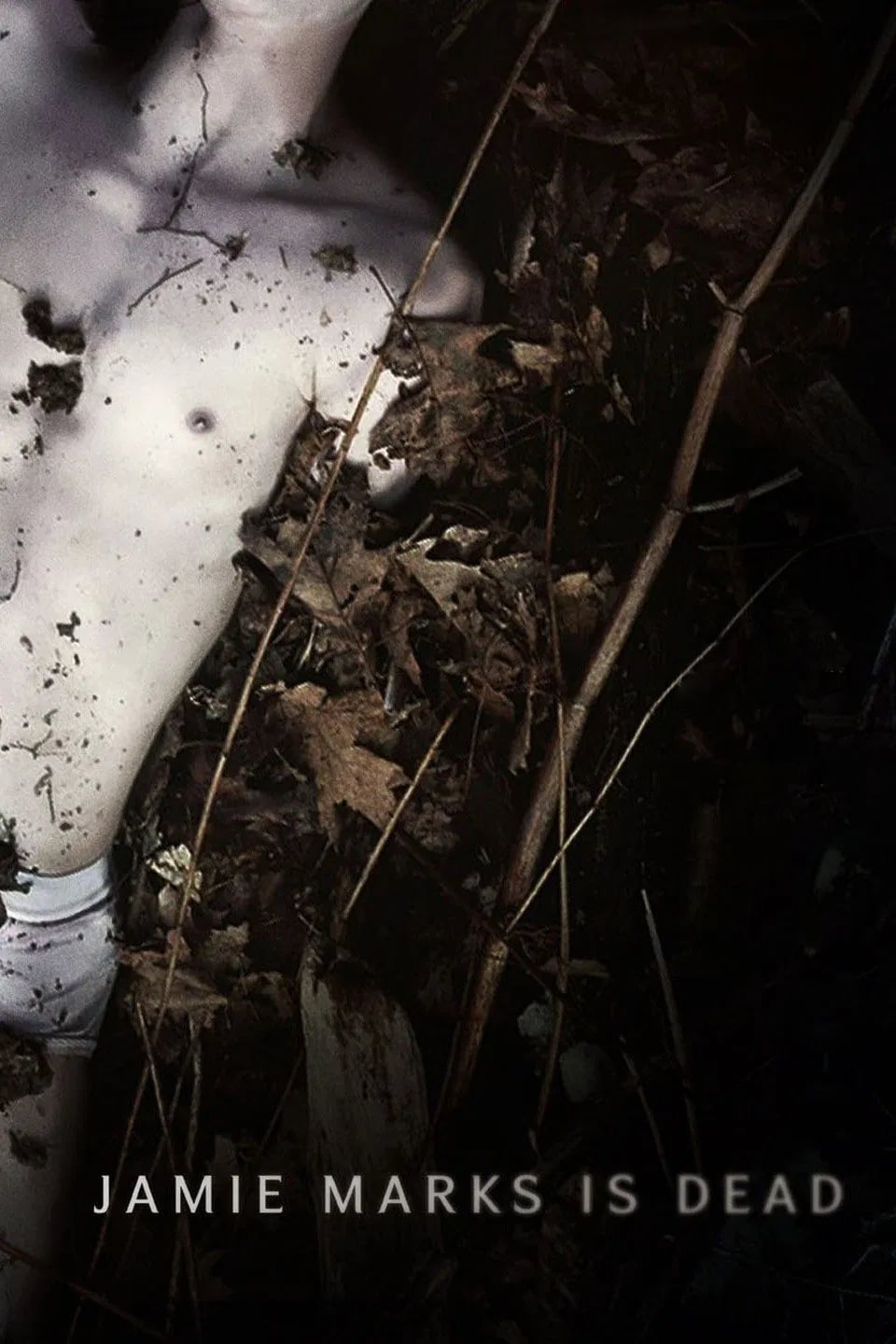 Jamie Marks Is Dead - Cover