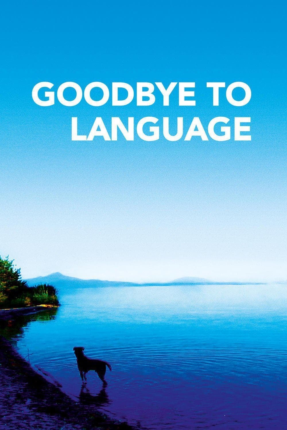 Goodbye to Language - Cover