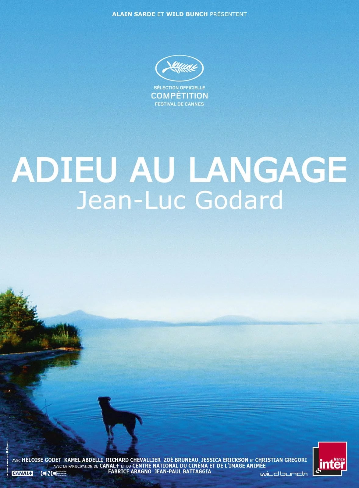 Adieu au Langage - Cover