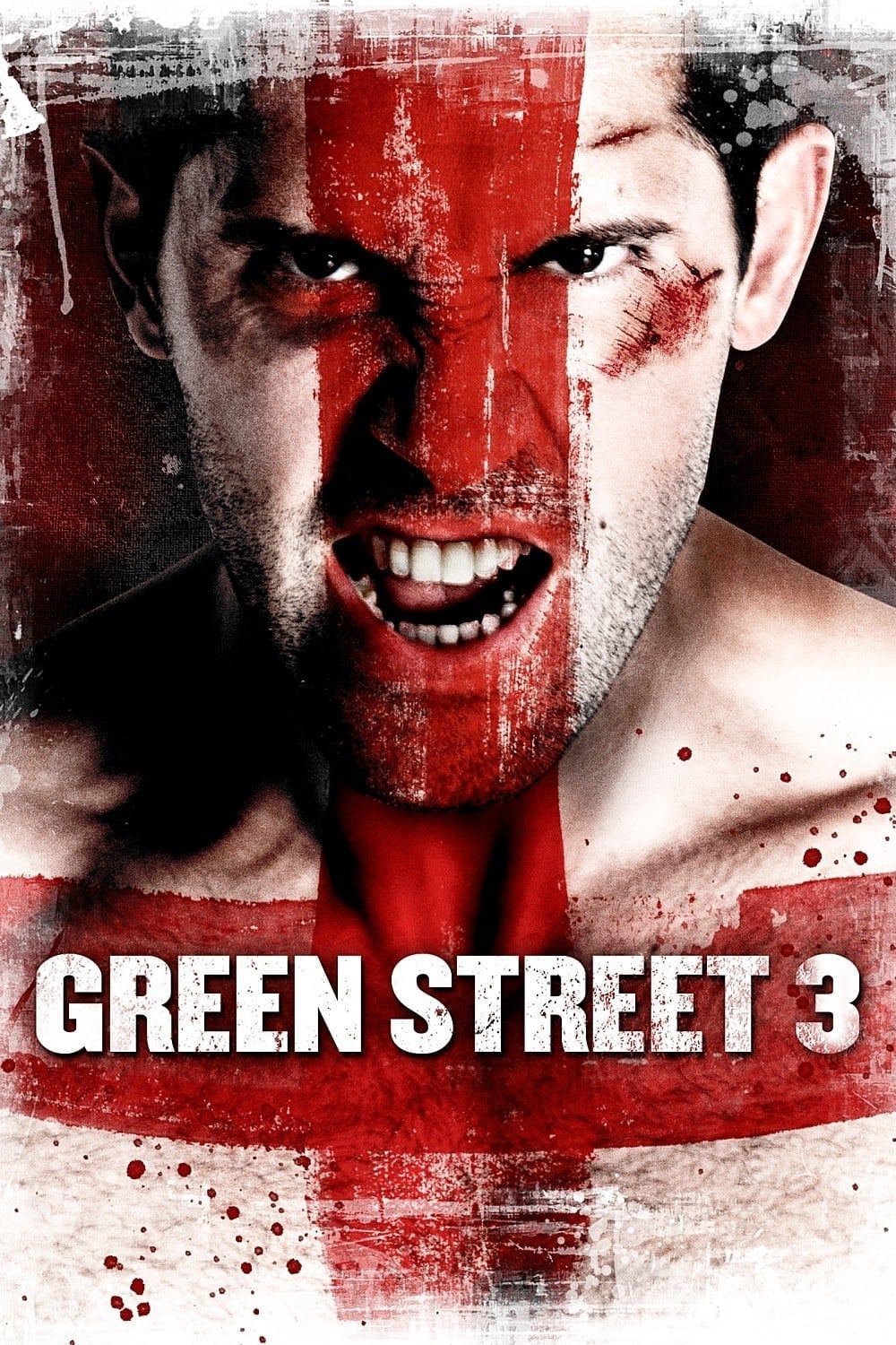 Green Street 3: Never Back Down - Cover