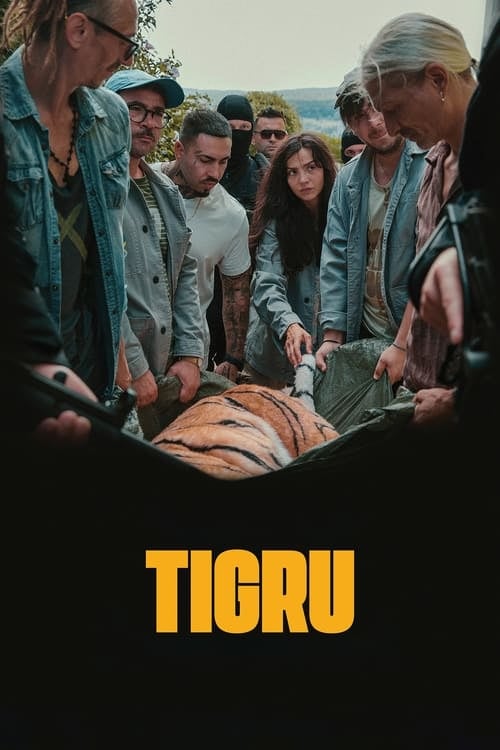 Day of the Tiger - Cover