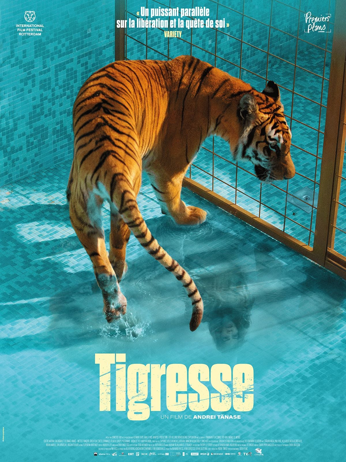 Tigresse - Cover