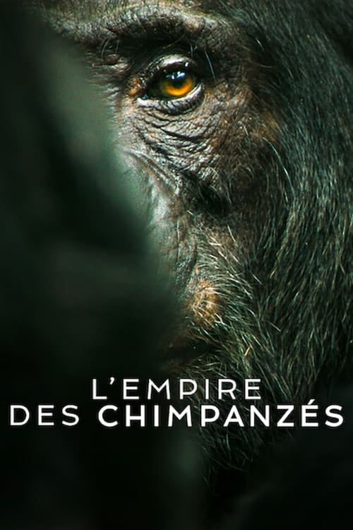 L'Empire des chimpanzés - Cover