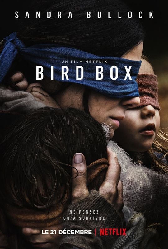 Bird Box - Cover