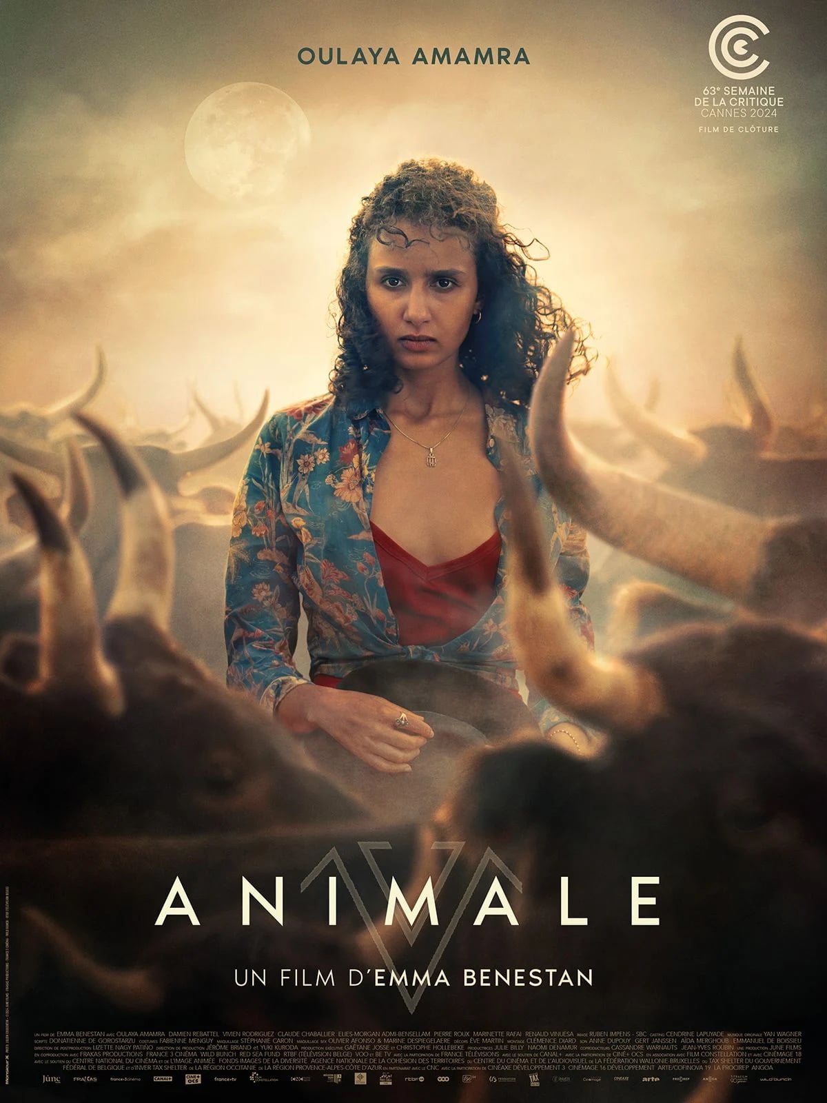 Animale - Cover
