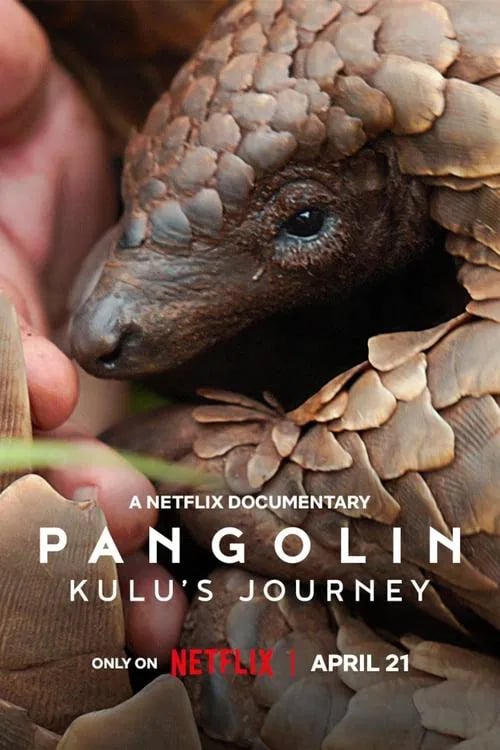 Pangolin: Kulu's Journey - Cover
