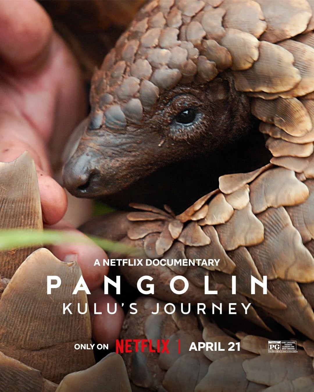 Pangolin : Chemins de vie - Cover