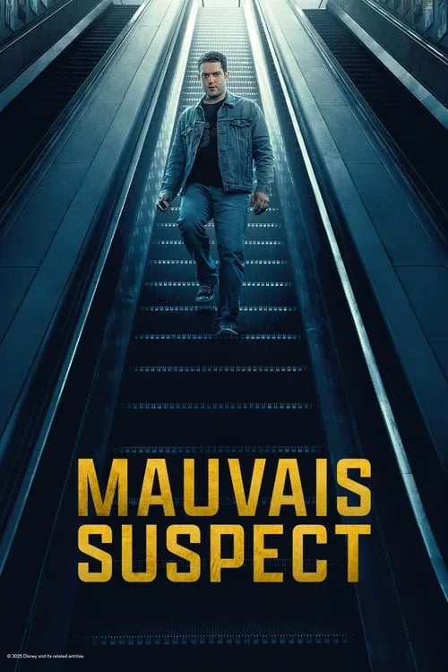 Mauvais suspect - Cover