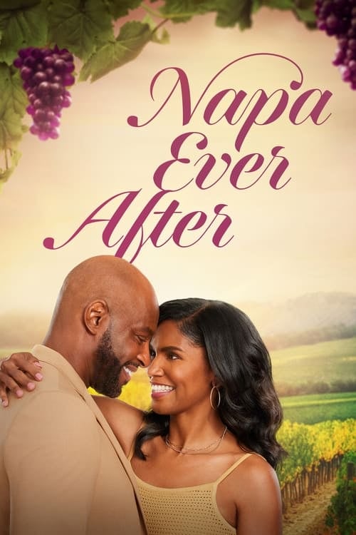 Napa Ever After - Cover
