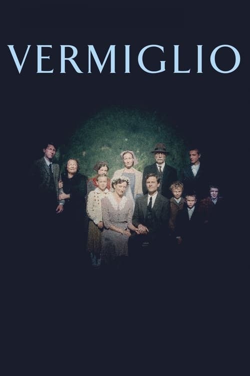Vermiglio - Cover