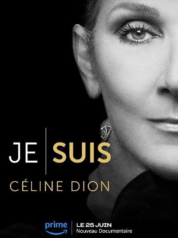 Je suis : Céline Dion - Cover