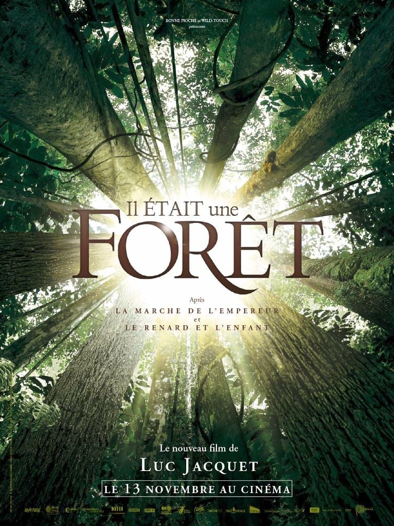 Il était une forêt - Cover