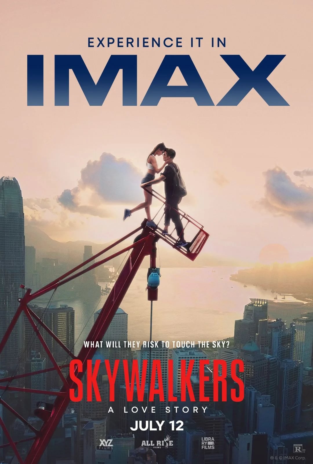 Skywalkers : D'amour et de vertige - Cover