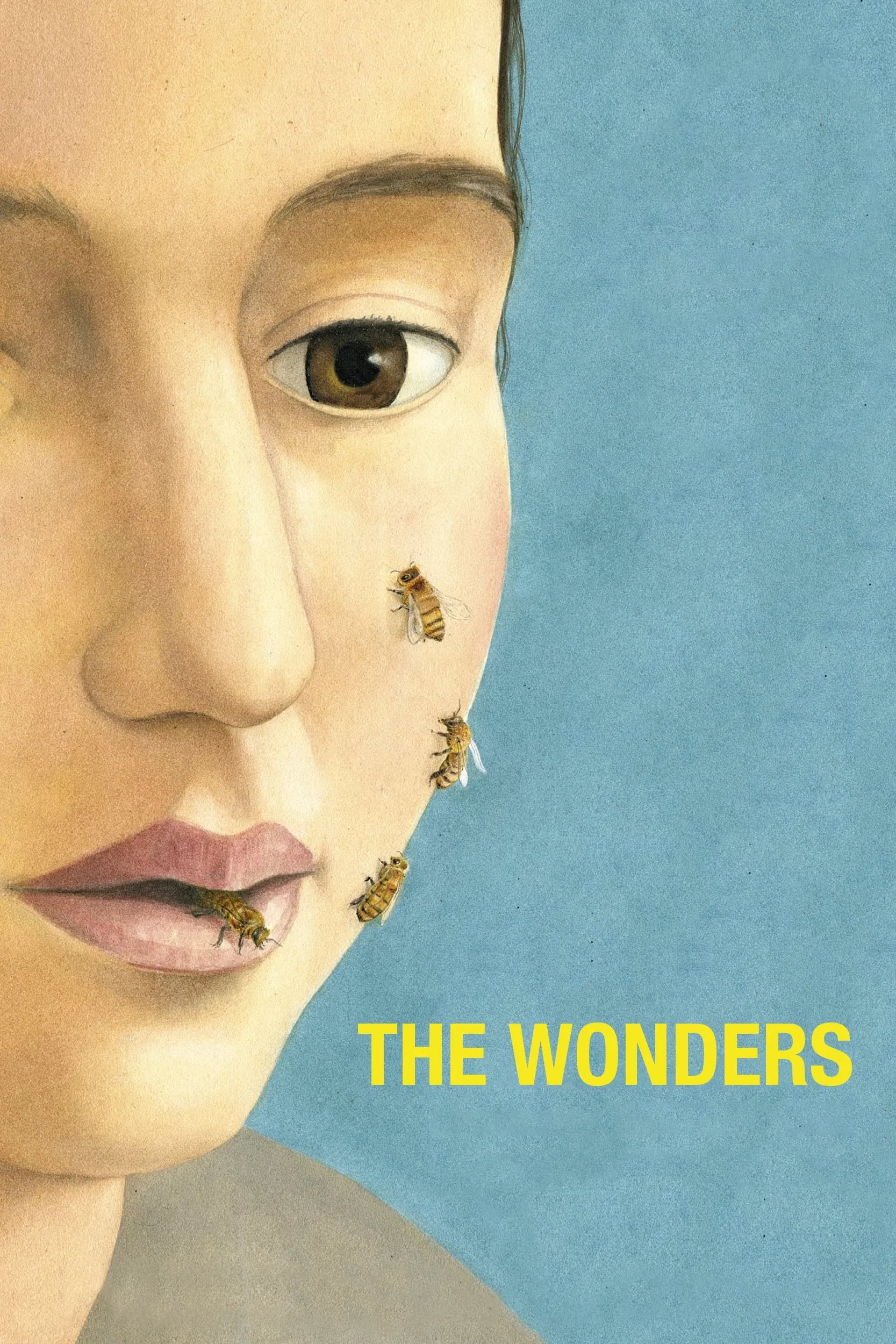 The Wonders - Cover