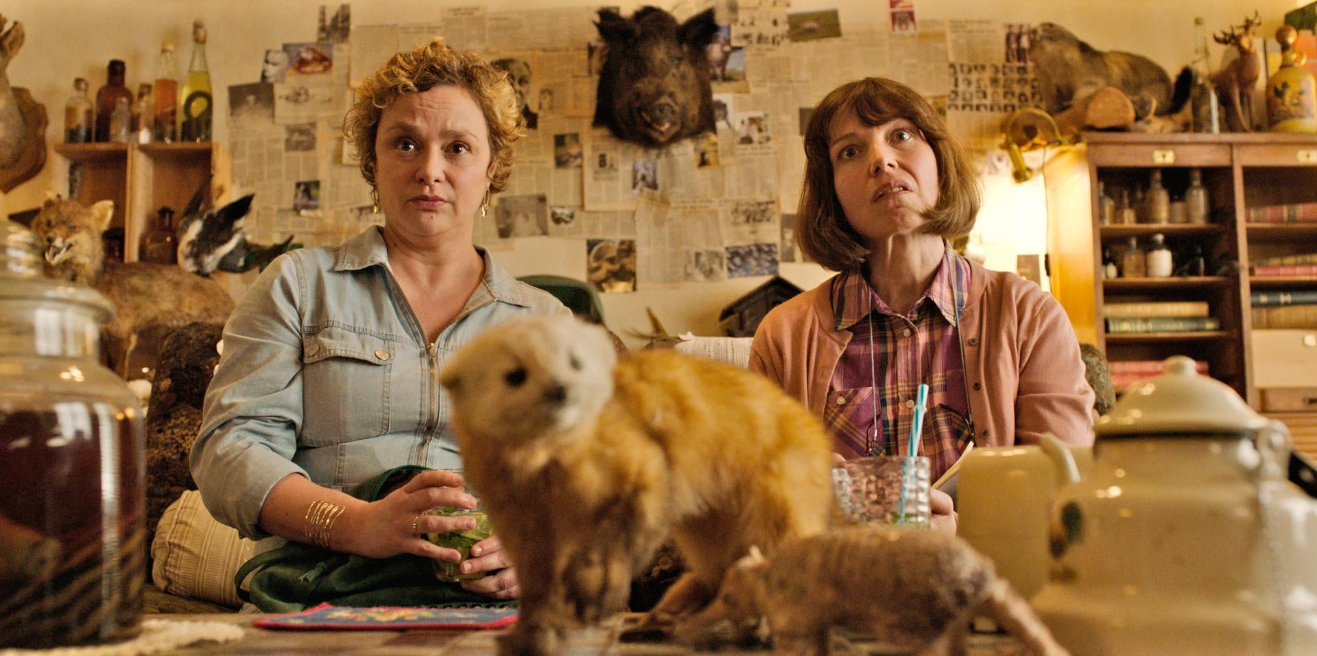 Plastic Guns - Cover